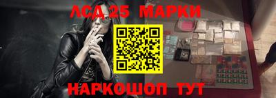 apvp Кингисепп