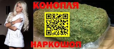 apvp Кингисепп