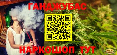 apvp Кингисепп