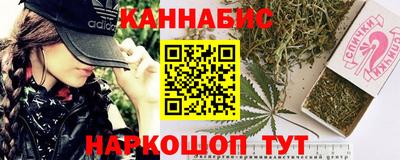 apvp Кингисепп