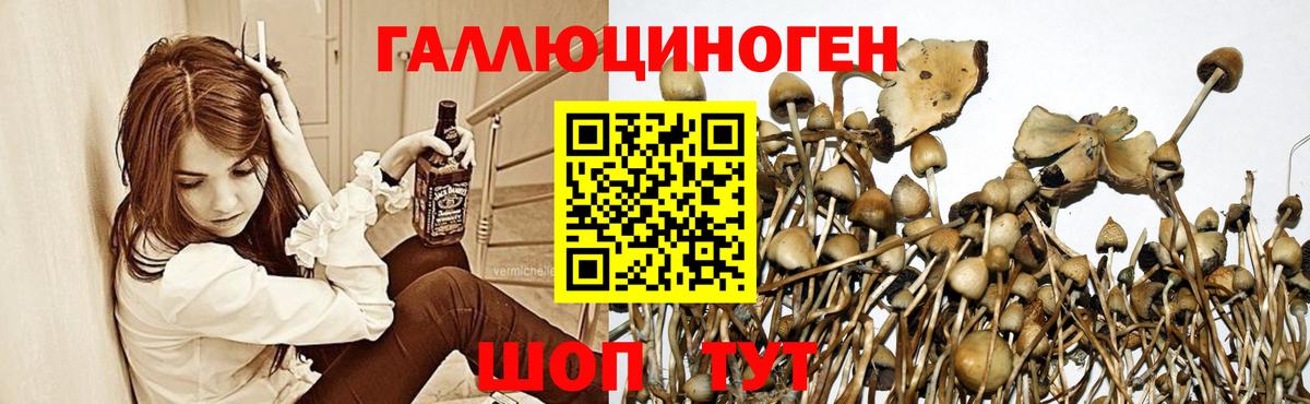 Галлюциногенные грибы мицелий Красноярск