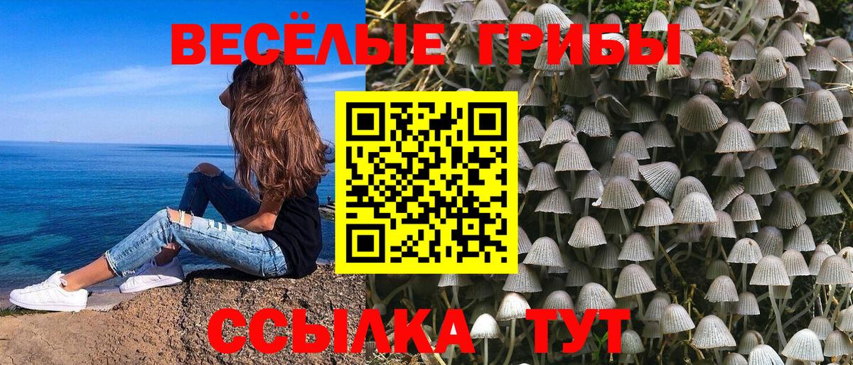 Галлюциногенные грибы Psilocybine cubensis  Вход с VPN  Красноярск 